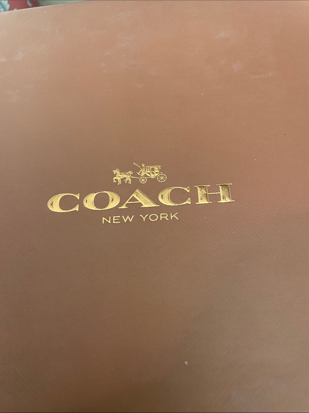 COACH Signature Outline Canvas Empire Low-Top Sneakers (Designer) New In Box! - Picture 7 of 9